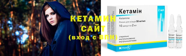 прущие грибы Санкт-Петербург