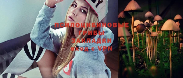 спиды Елизово