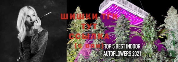 круглые Ельня