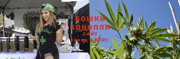 спиды Елизово