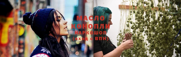 прущие грибы Санкт-Петербург