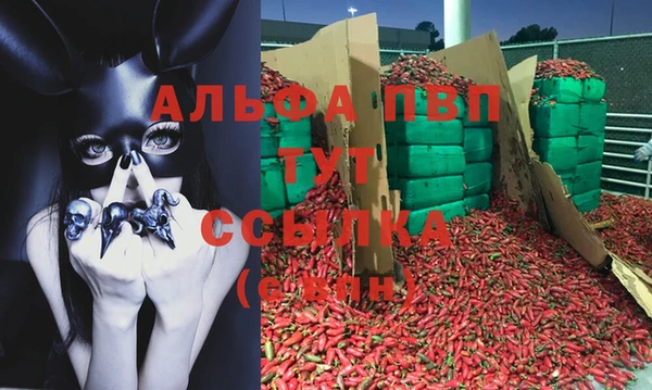 молекула духа Покачи
