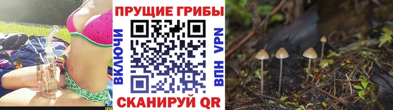 Псилоцибиновые грибы MAGIC MUSHROOMS  Пестово 